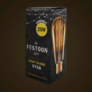 25W Teardrop Edison Globe Packaging
