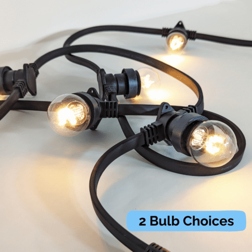 Low Voltage Commercial Festoon Black (100cm Spacing)