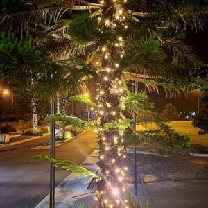 Mr Festoon Lights - Fairy Light Installation