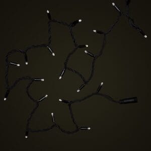 Black Cable Bright White LED Fairy Light