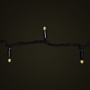 Black Cable Warm White LED Fairy Light Close Up