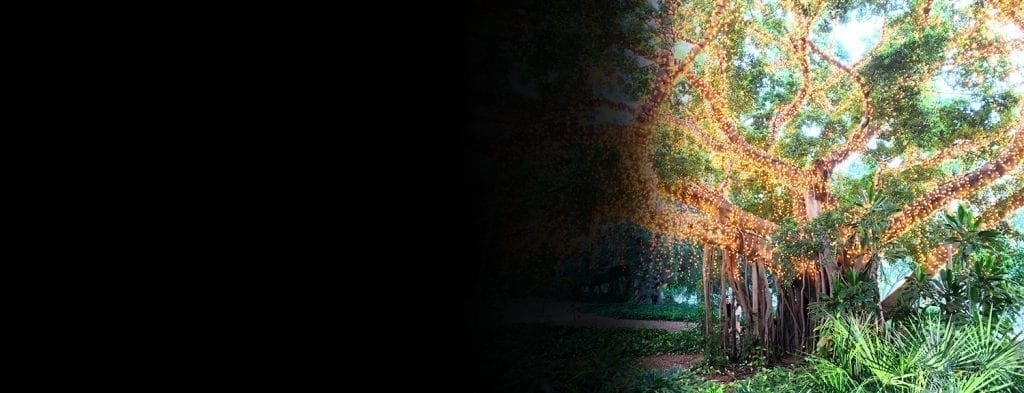 Commercial Fairy Light Home Page Tablet