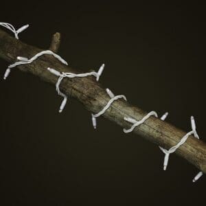 White Fairy Light Bright White Branch